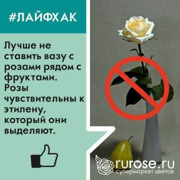 lifehack12.jpg lifehack12.jpg