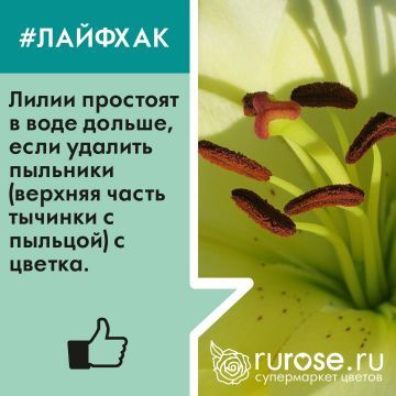 lifehack14.jpg lifehack14.jpg