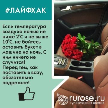 lifehack19.jpg lifehack19.jpg