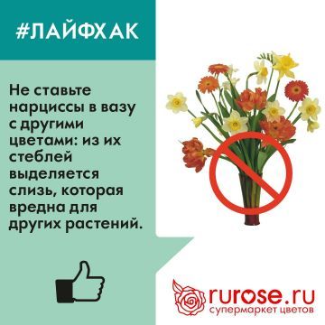 lifehack5.jpg lifehack5.jpg