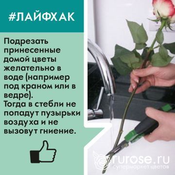 lifehack6.jpg lifehack6.jpg