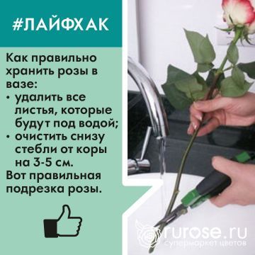 lifehack7.jpg lifehack7.jpg