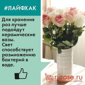 lifehack8.jpg lifehack8.jpg