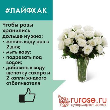 lifehack9.jpg lifehack9.jpg