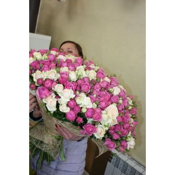 IMG-20170125-WA0004.jpg IMG-20170125-WA0004.jpg