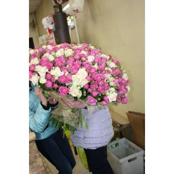 IMG-20170125-WA0005.jpg IMG-20170125-WA0005.jpg