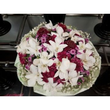 IMG-20170127-WA0012.jpg IMG-20170127-WA0012.jpg