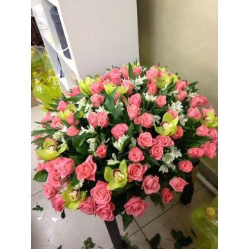 IMG-20170127-WA0013.jpg IMG-20170127-WA0013.jpg