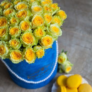 IMG_9620.jpg