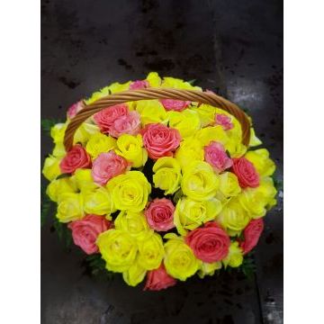 IMG-20170127-WA0038.jpg IMG-20170127-WA0038.jpg
