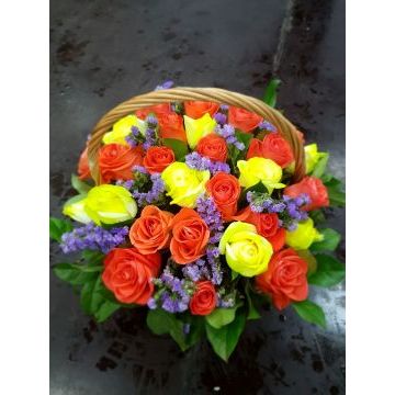 IMG-20170127-WA0037.jpg IMG-20170127-WA0037.jpg