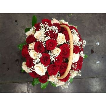 IMG-20170127-WA0021.jpg IMG-20170127-WA0021.jpg
