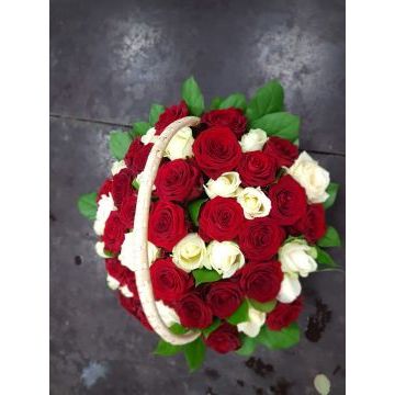 IMG-20170127-WA0022.jpg IMG-20170127-WA0022.jpg