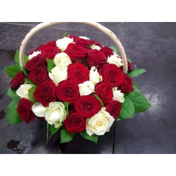 IMG-20170127-WA0024.jpg IMG-20170127-WA0024.jpg