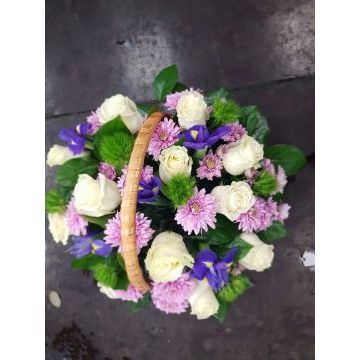 IMG-20170127-WA0027.jpg IMG-20170127-WA0027.jpg