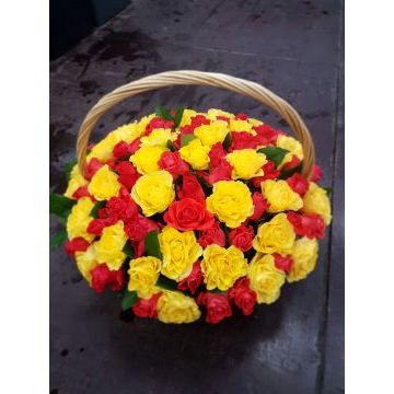 IMG-20170127-WA0031.jpg IMG-20170127-WA0031.jpg