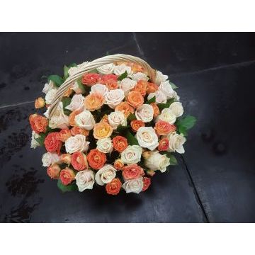 IMG-20170127-WA0036.jpg IMG-20170127-WA0036.jpg