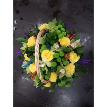 IMG-20170127-WA0046.jpg IMG-20170127-WA0046.jpg