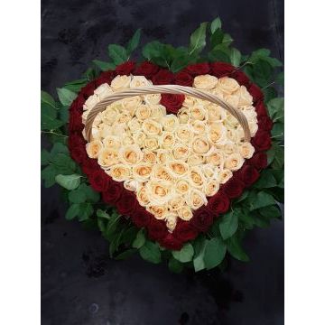 IMG-20170127-WA0048.jpg IMG-20170127-WA0048.jpg