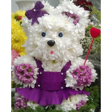 IMG-20170127-WA0033.jpg IMG-20170127-WA0033.jpg
