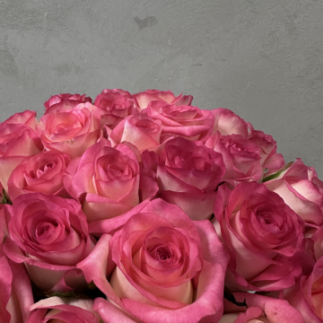 Букет бело-розовых роз 51 шт 40 см С теплыми пожеланиями