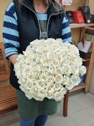 Букет из 71 белой розы 50 см "Лёгкое дыхание" Букет из 71 белой розы 50 см "Лёгкое дыхание"