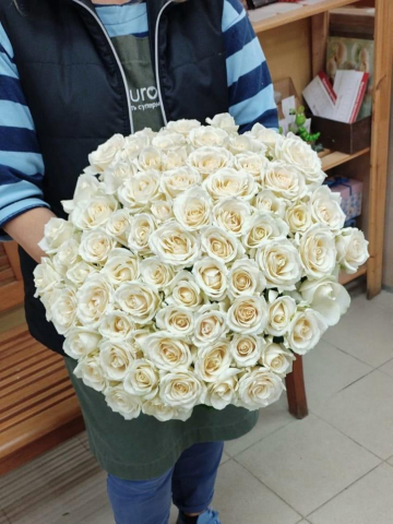 Букет из 71 белой розы 50 см "Лёгкое дыхание" Букет из 71 белой розы 50 см "Лёгкое дыхание"