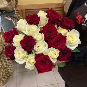 Букет красно-белых роз 21 шт 50 см "Рошель"