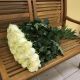Роза Эквадор Мондиаль 70 см